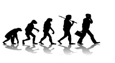 http://billydees.squarespace.com/storage/Evolution.jpg?__SQUARESPACE_CACHEVERSION=1253062257984