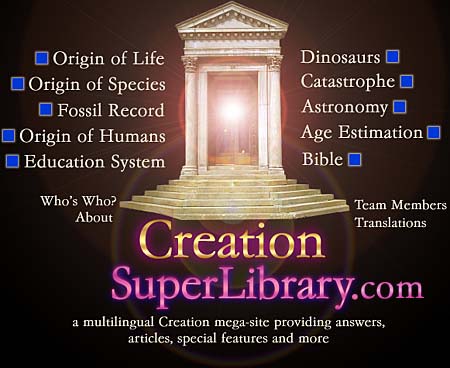 Navigation menu - Creation SuperLibrary